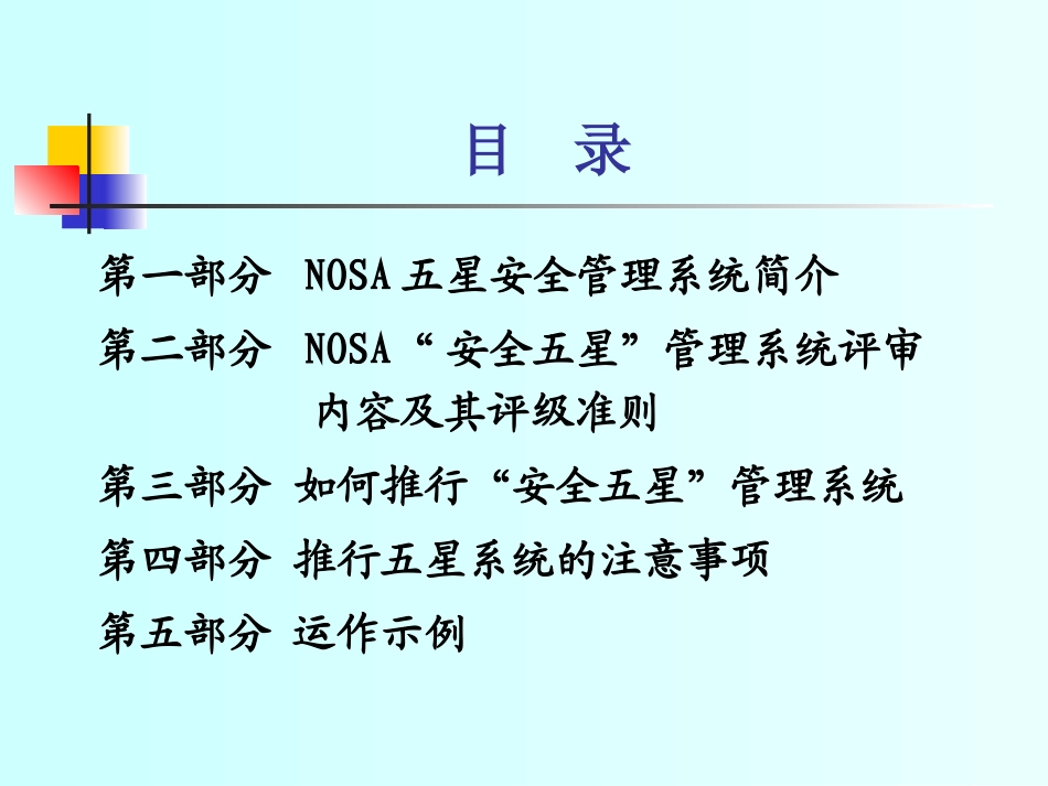 NOSA管理培训_第2页