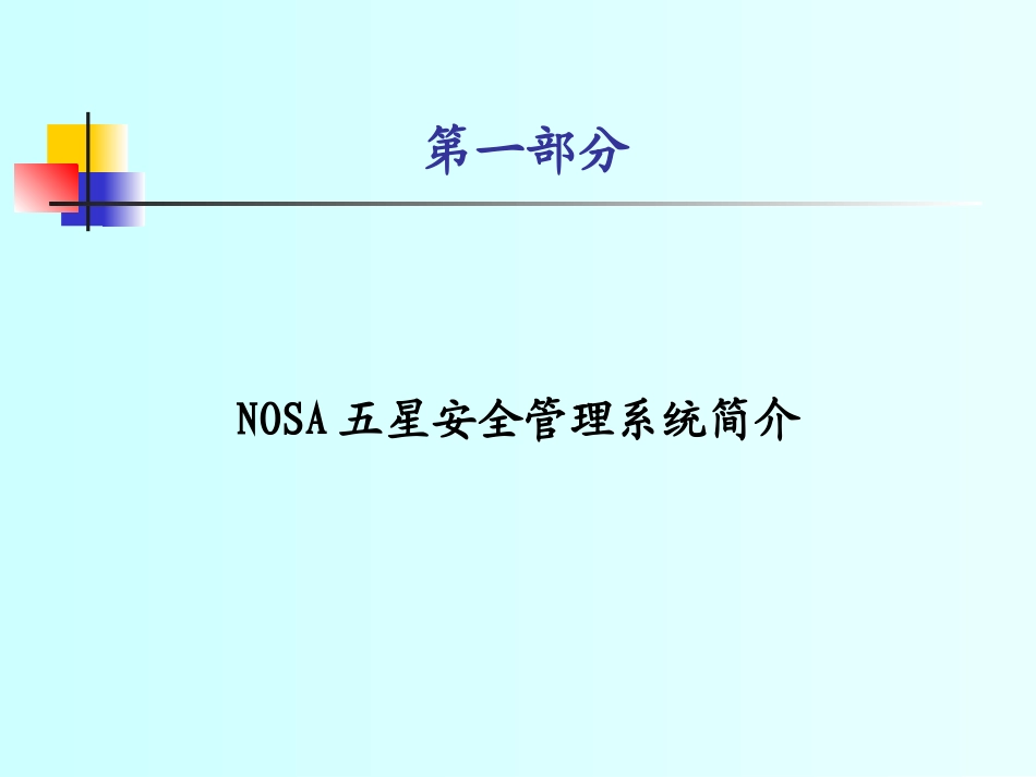 NOSA管理培训_第3页