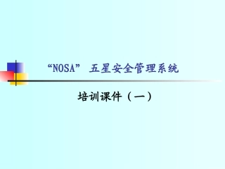 NOSA管理培训