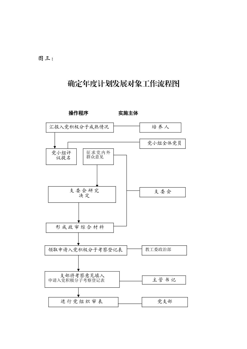 发展党员工作流程_第3页