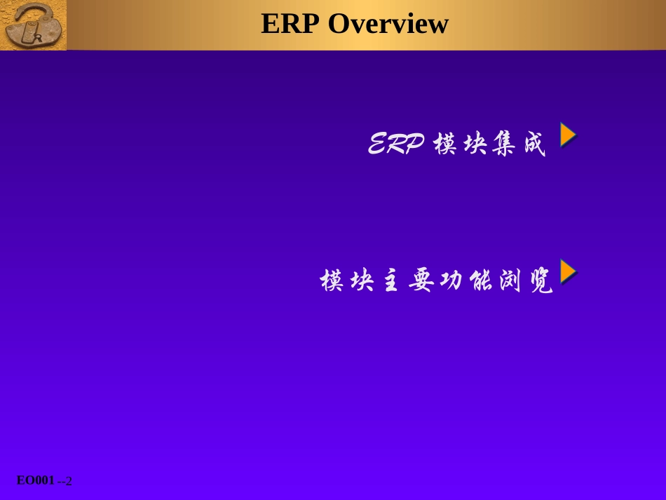 oracleERP培训资料_第2页