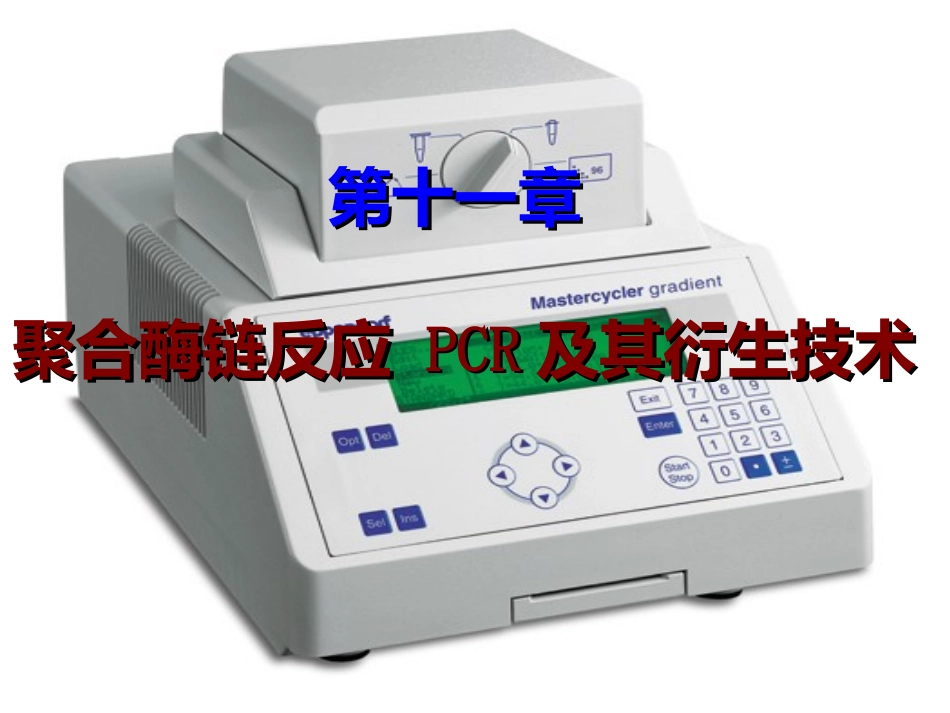 PCR及其衍生技术解析_第1页
