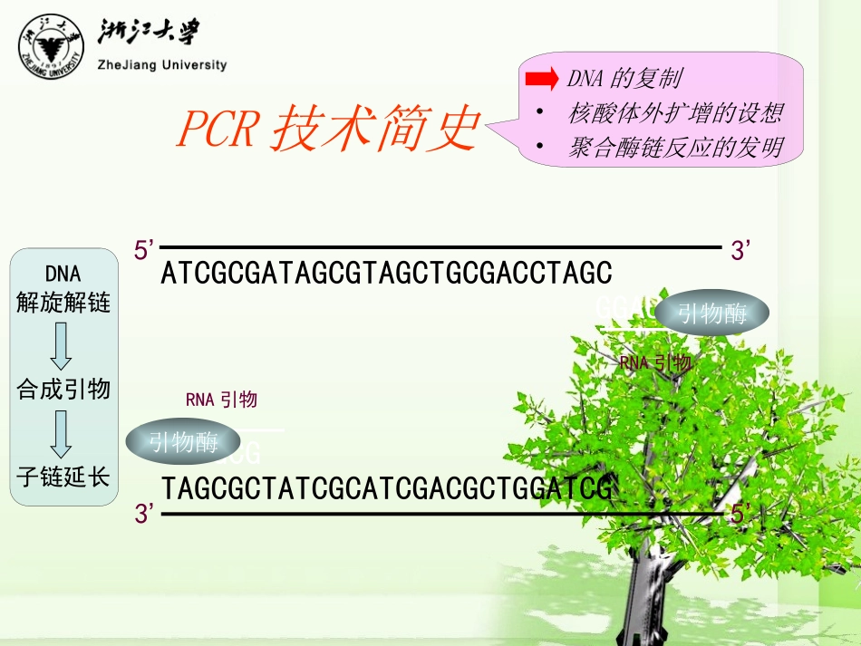 PCR技术的原理及应用_第3页