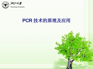 PCR技术的原理及应用