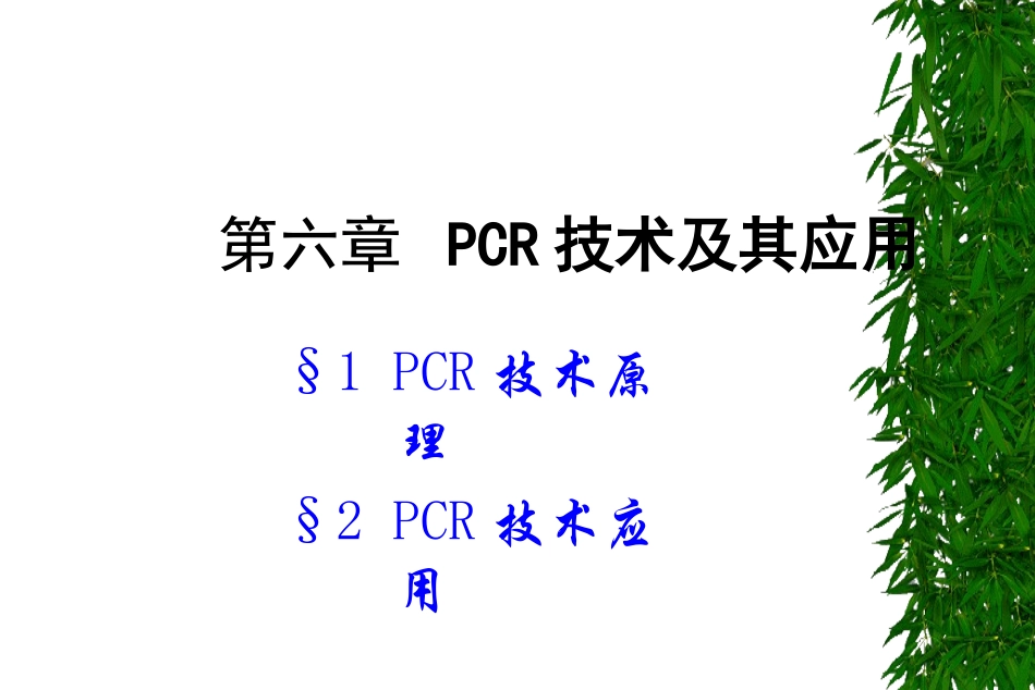 PCR技术及其应用_第1页