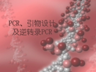PCR引物设计及逆转录PCR解析