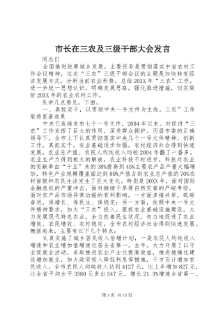 市长在三农及三级干部大会讲话