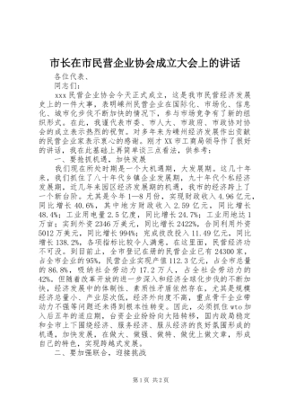 市长在市民营企业协会成立大会上的致辞