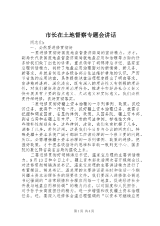 市长在土地督察专题会致辞