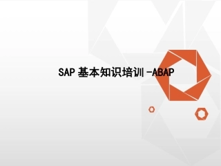 SAPABAP实用培训教程