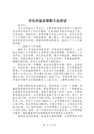 市长在盐业表彰大会致辞