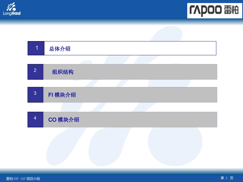 SAPFICO培训资料_第2页