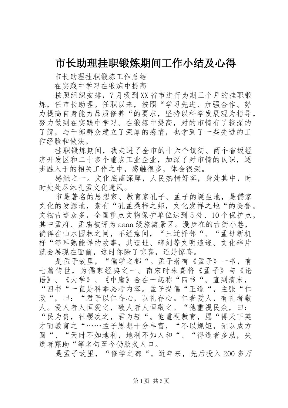 市长助理挂职锻炼期间工作小结及心得_第1页