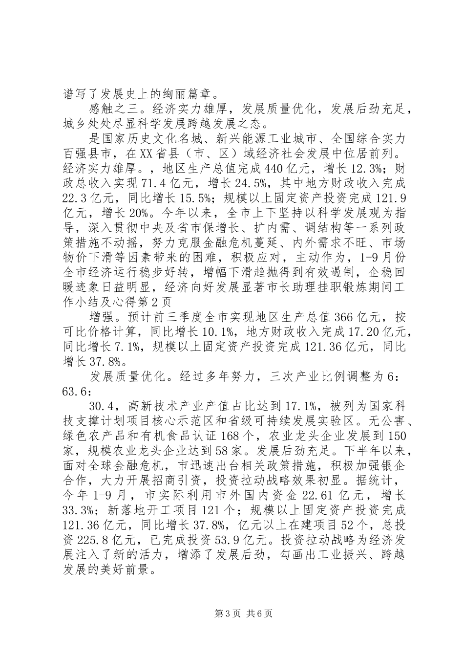 市长助理挂职锻炼期间工作小结及心得_第3页