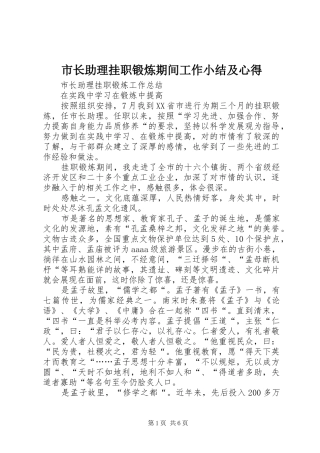 市长助理挂职锻炼期间工作小结及心得