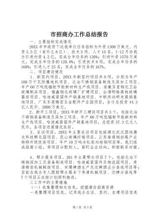 市招商办工作总结报告