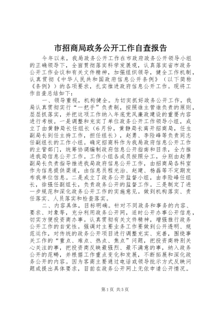 市招商局政务公开工作自查报告