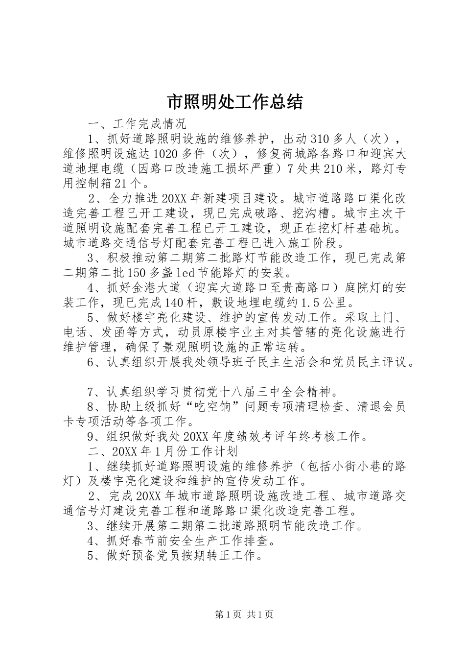 市照明处工作总结_第1页