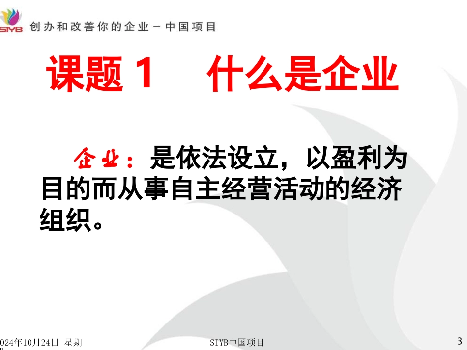 SYB全课件_第3页