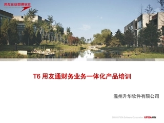 T6用友通教程培训