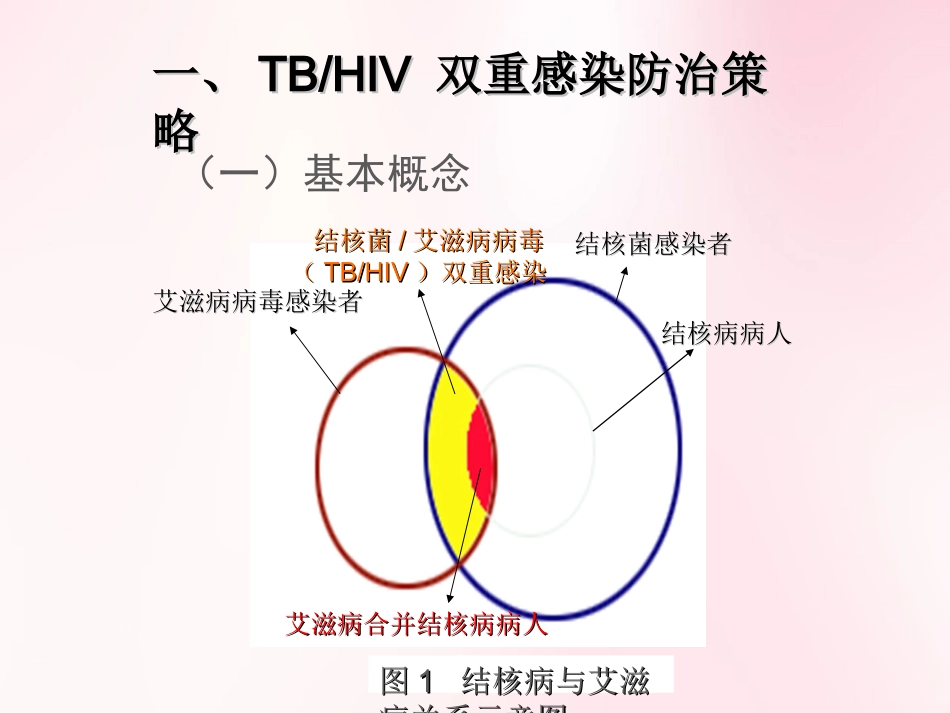TB艾滋双重感染_第2页