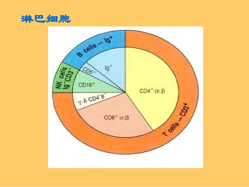 TB免疫细胞完整_第2页