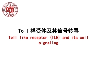 TLR及信号通路课件Toll样受体及其信号转导