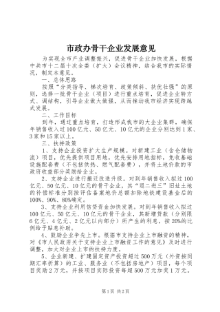 市政办骨干企业发展意见