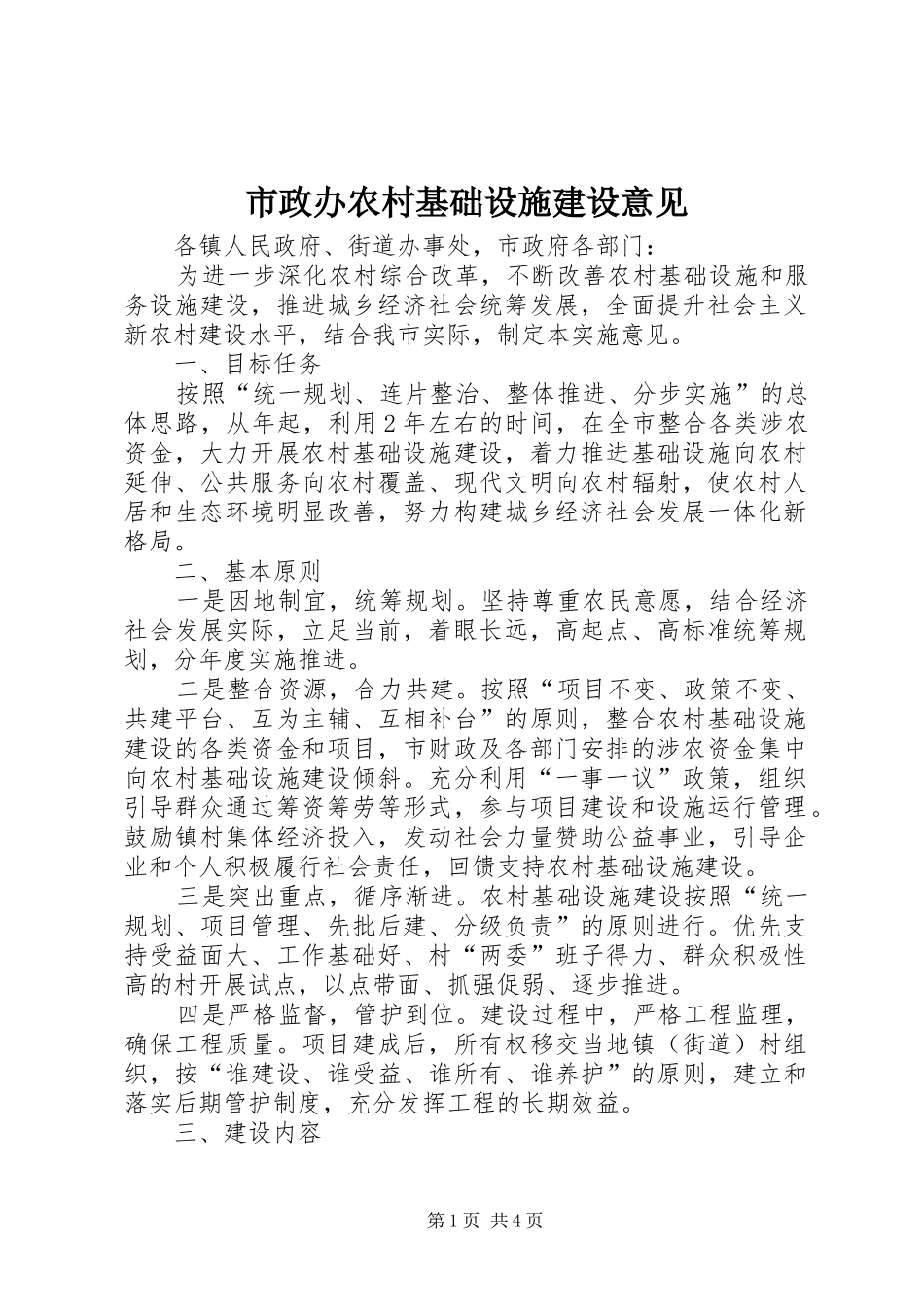 市政办农村基础设施建设意见_第1页