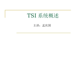 TSI系统概述