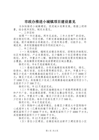 市政办推进小城镇项目建设意见