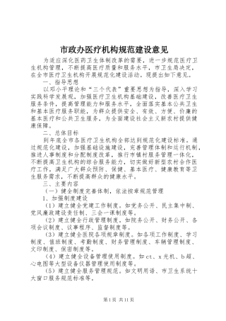 市政办医疗机构规范建设意见
