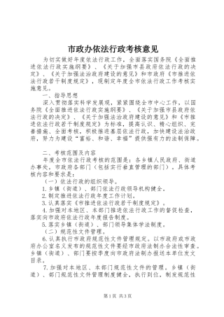 市政办依法行政考核意见