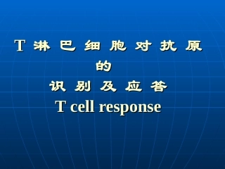 T淋巴细胞对抗原的识别和应答