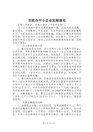 市政办中小企业发展意见