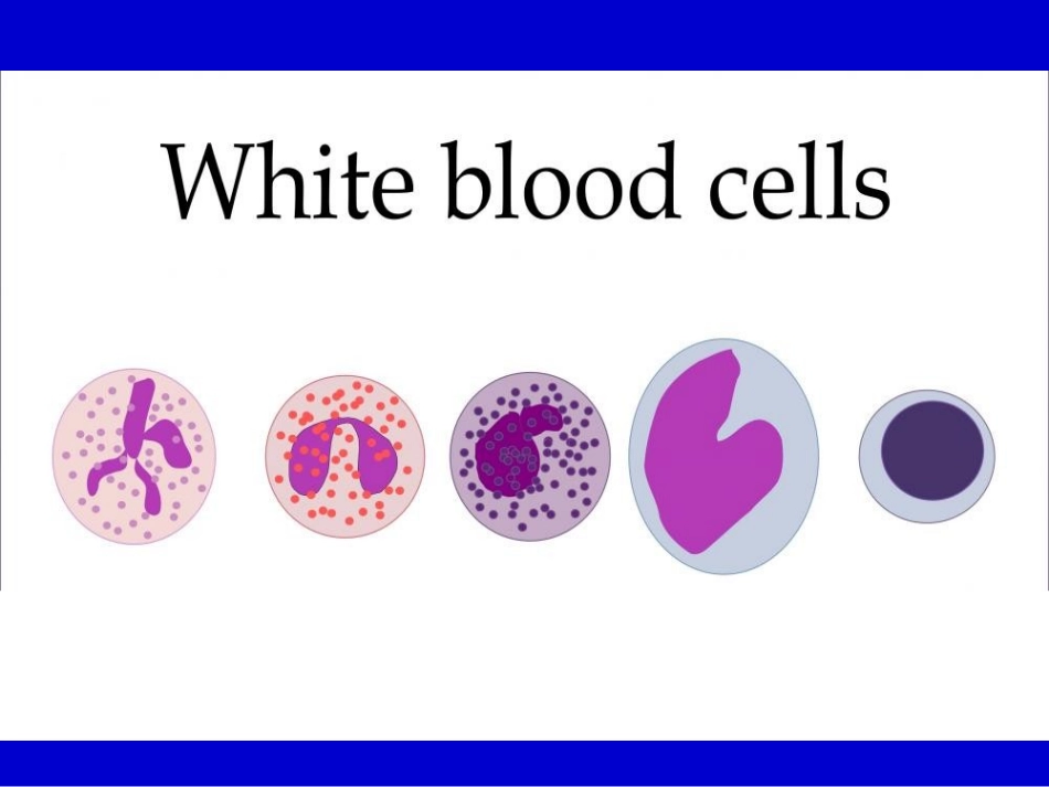 T细胞分类与功能_第2页