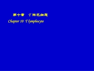 T细胞分类与功能