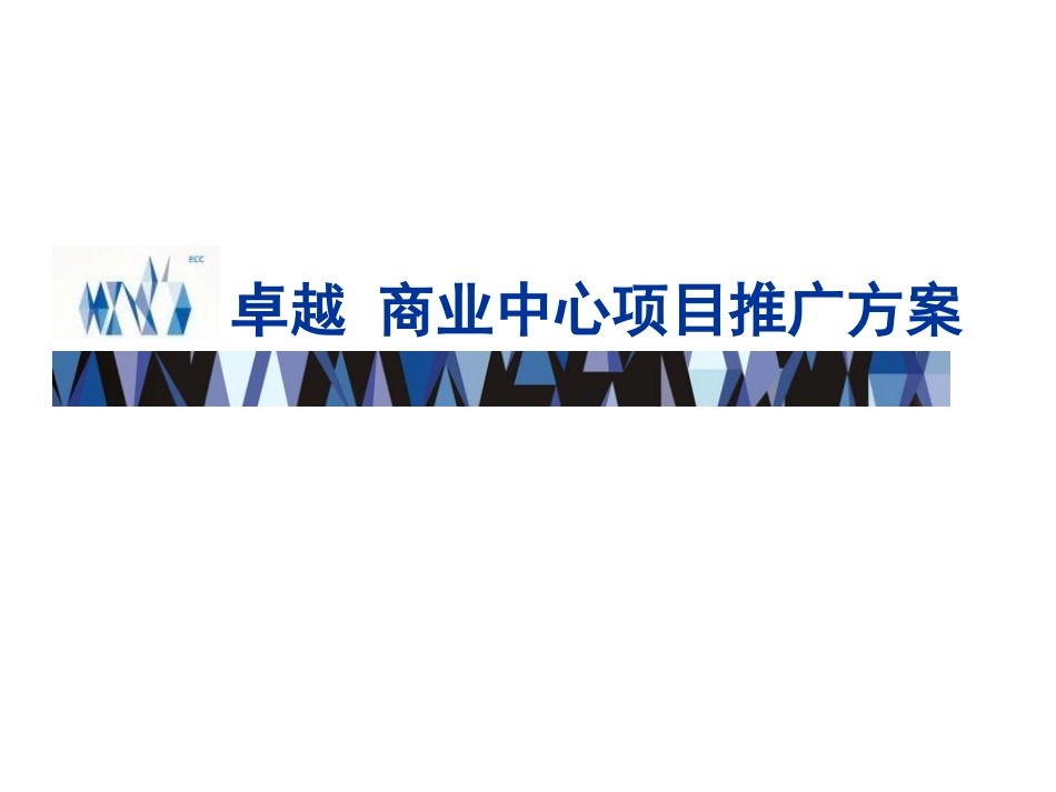 VI毕业设计品牌设计_第1页