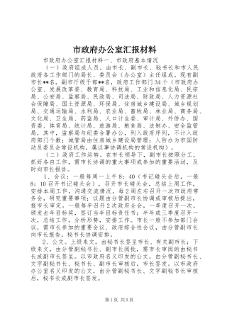 市政府办公室汇报材料