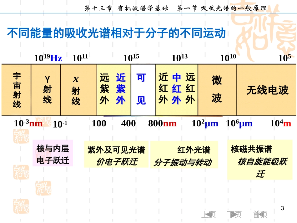 Y524-有机化学-有机化合物结构解析_第3页