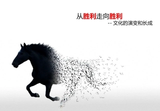 阿里企业文化文化的长成和演变