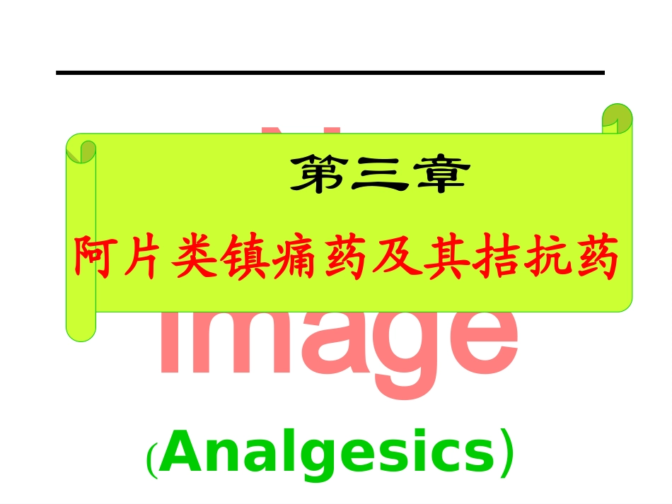 阿片类镇痛药及其拮抗药_第1页