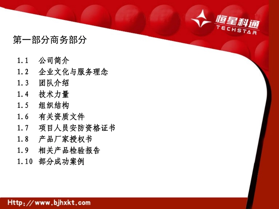 安防监控工程投标书_第2页