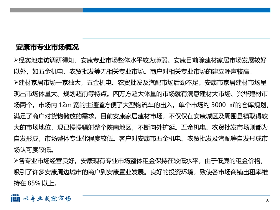 安康专业市场调研报告_第2页