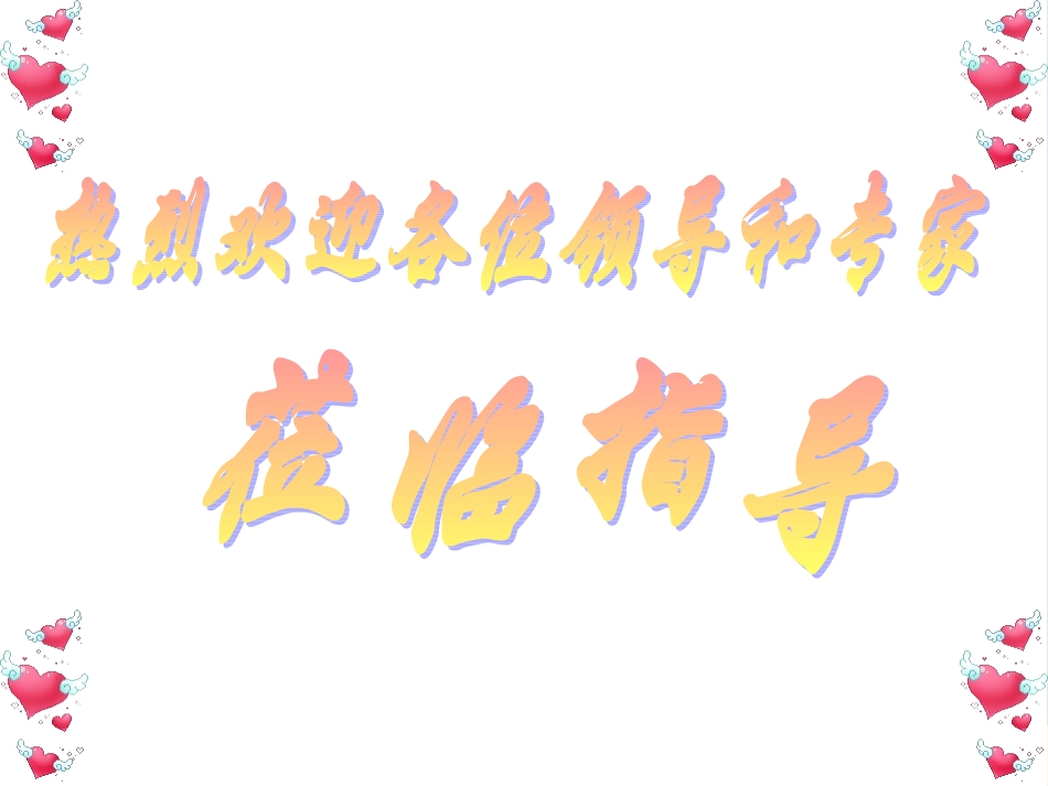 安全检查报告_第1页