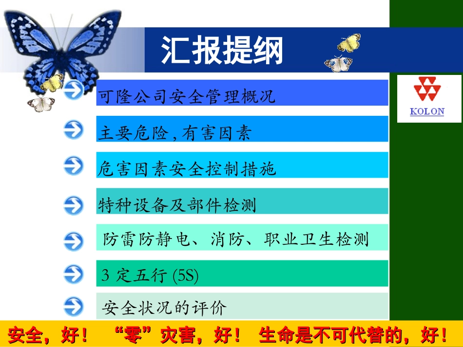 安全检查报告_第3页