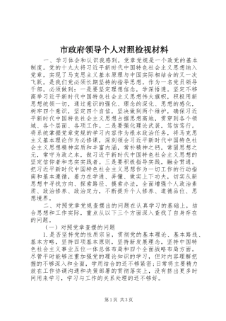 市政府领导个人对照检视材料
