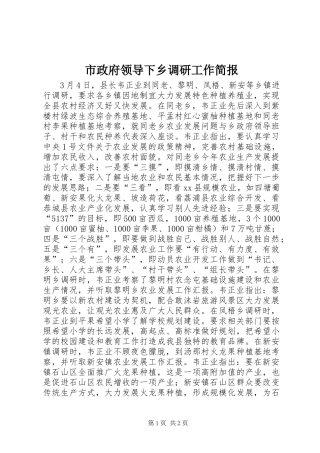 市政府领导下乡调研工作简报