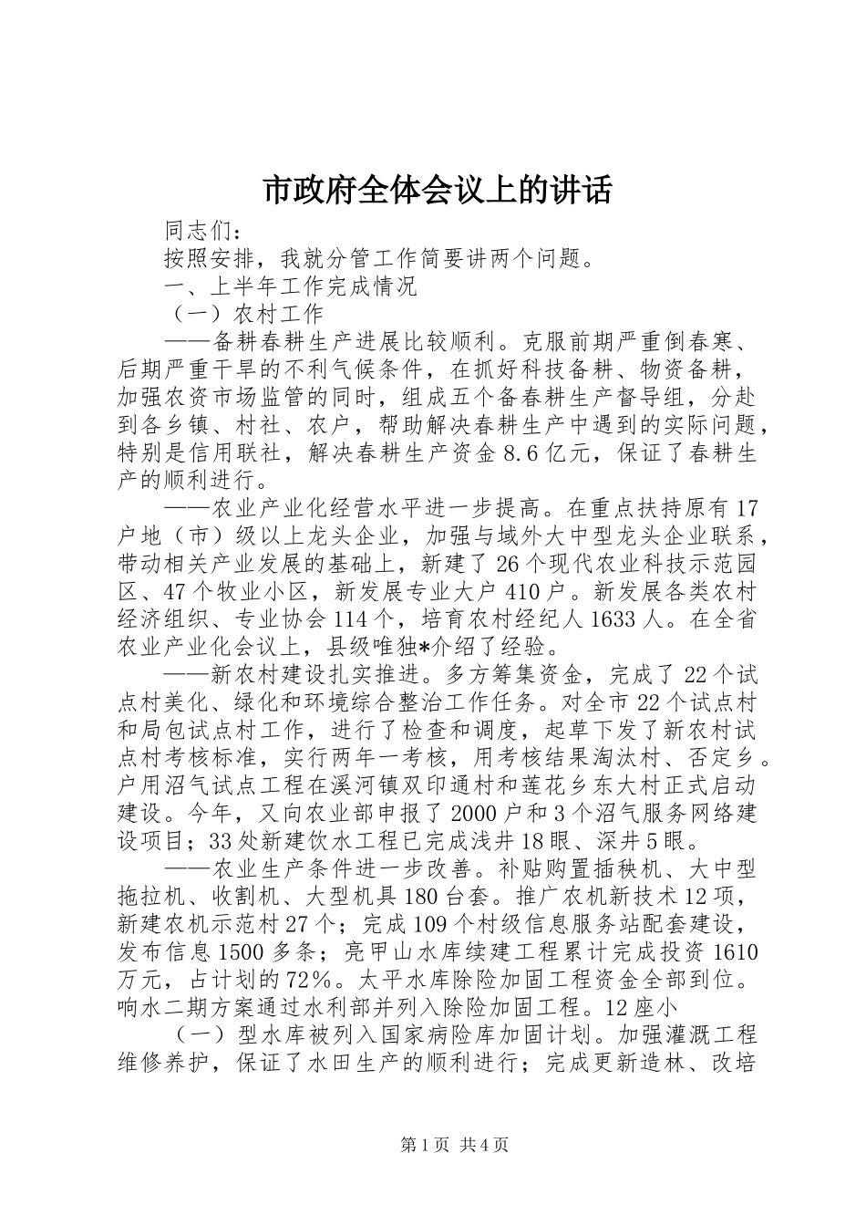 市政府全体会议上的致辞_第1页