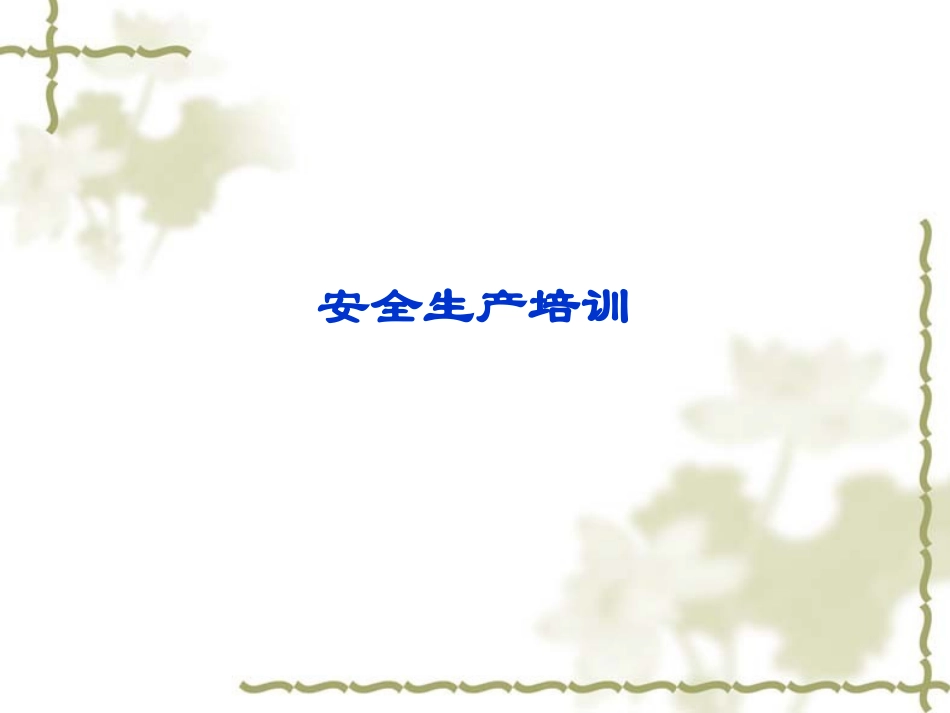 安全生产专题讲座_第1页